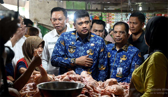 Pemprov Sumut Pastikan Stok dan Distribusi Minyakita Aman, Harga Mulai Stabil