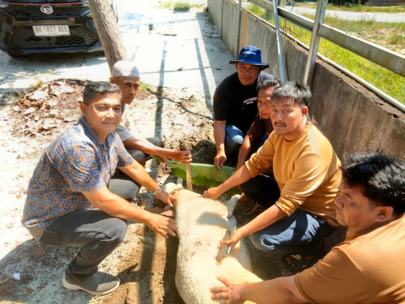 DPD PSI Deli Serdang Riki Nelson Barus.SH  Bagikan Daging Qurban