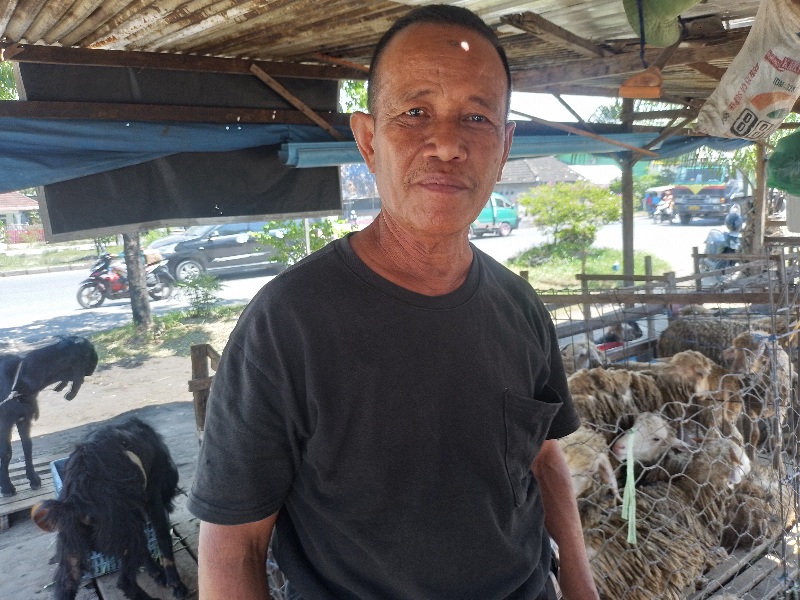 Pedagang Hewan Qurban Sepi Pembeli