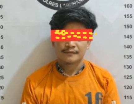 Tim Opsnal Sat Res Narkoba Polres Labuhanbatu Ringkus Ucok