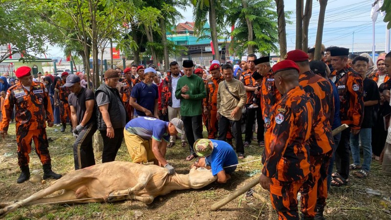 Musa Rajekshah Apresiasi Semangat Berqurban Kader Pemuda Pancasila Sumut