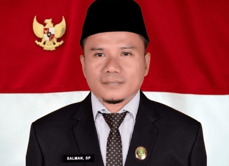 Ketua Komisi IV DPRD Madina Buka Suara soal Sengketa Informasi Desa, Salman Desak PMD dan Inspektorat Bergerak