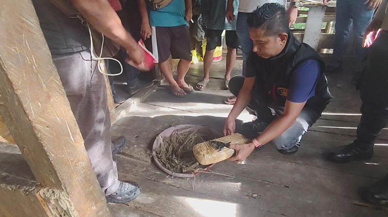 Polsek Bahorok Gagalkan Peredaran 2 Kilogram Ganja di Bukit Lawang, Seorang Pria Diamankan