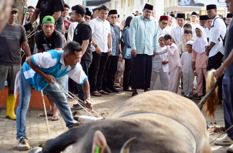 Gubernur Bobby Nasution Salat Iduladha Bersama Ribuan Warga Binjai, Pemprov Sumut Salurkan 167 Hewan Kurban