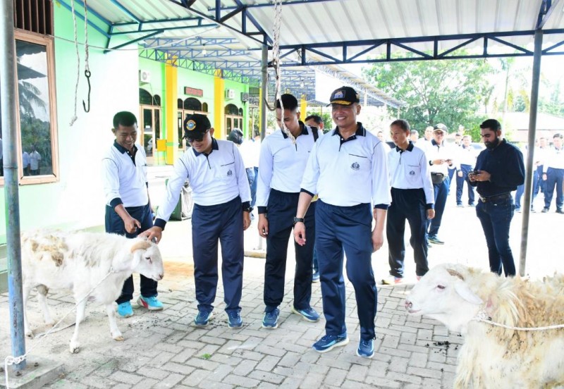 Dankodaeral I Belawan Serahkan Hewan Qurban untuk Prajurit dan Mayarakat