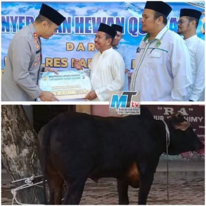 Kapolres AKBP Wahyu Endraja Serahkan Satu Ekor Hewan Kurban Kepada MUI