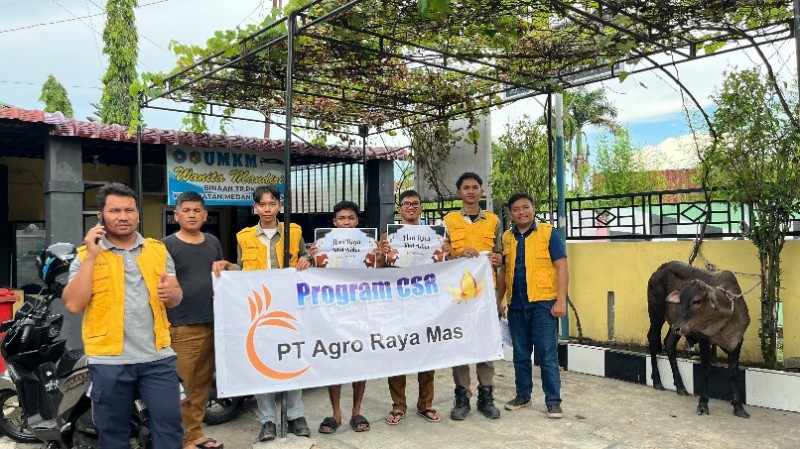 PT.Agro Raya mas Serahkan 5 Lembu Qurban kepada Masjid Dan Masyarakat