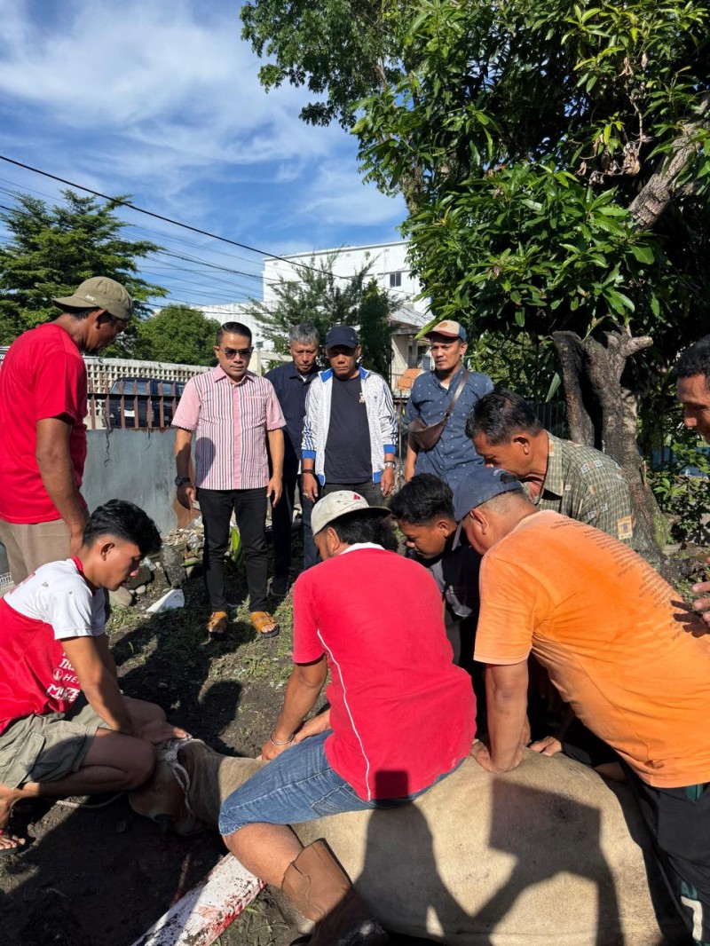 PWPM Sembelih Dua Sapi Kurban Bantuan Wali Kota Medan Rico Waas