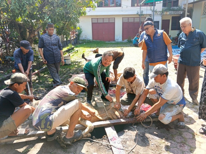 Iduladha 1447 H, PWI Sumut Sembelih 6 Hewan Kurban