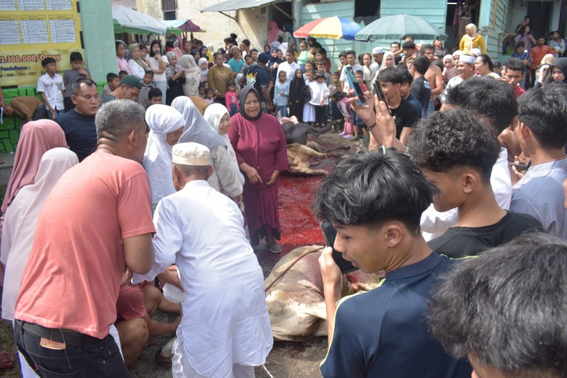 &lrm;Warga Aur Semarakkan Hari Raya Idul Adha 1447 H, 2026 M, Ramaikan Sholat Idul Adha Dan Penyembelihan 10 Ekor Lembu, 4 Ekor Kambing