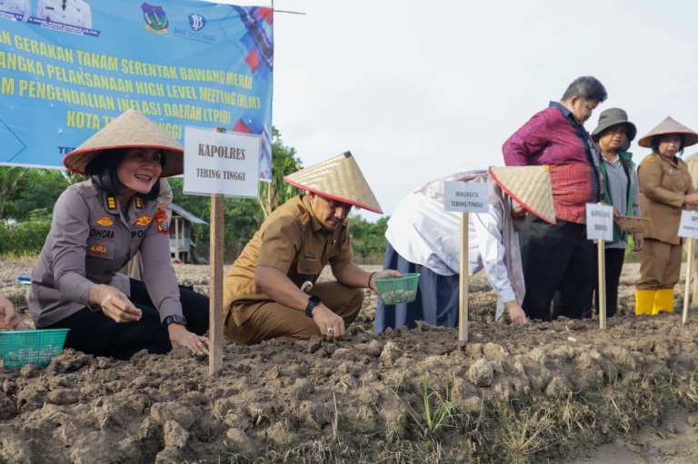 Pemko T.Tinggi Galakkan Tanam Bawang Merah