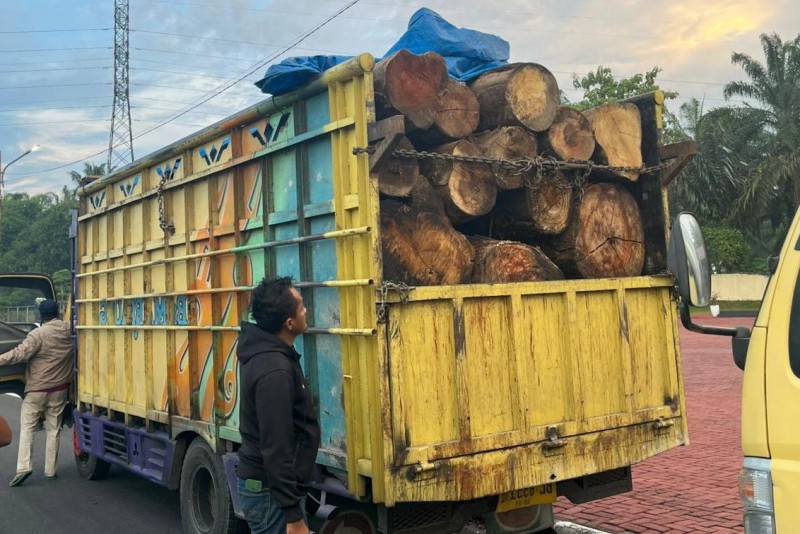 Dua Truk Kayu Gelondongan Ilegal  Diamankan