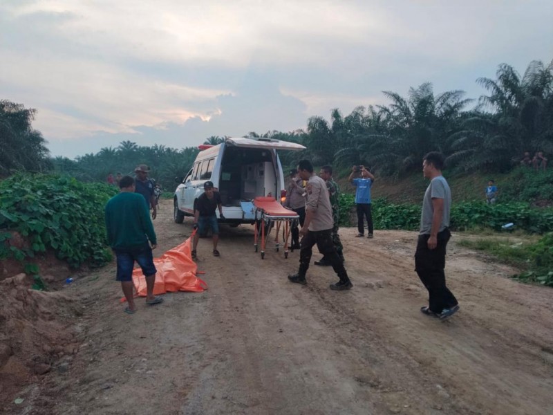 Jasad Hermin Lasih Silalahi Ditemukan Membusuk di Parit Perkebunan Sawit