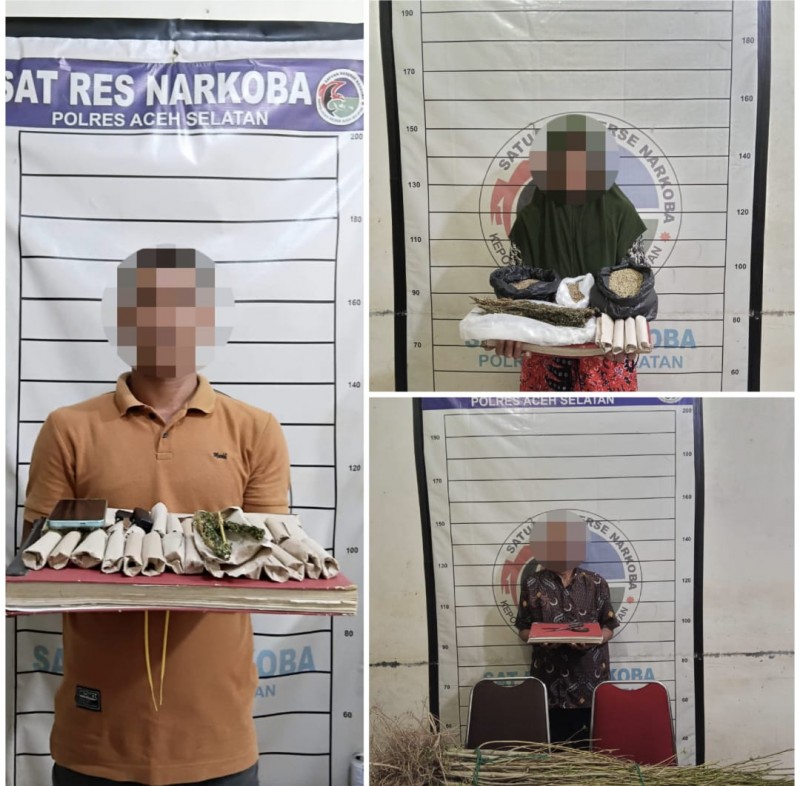 Polres Aceh Selatan Bongkar Jaringan Ganja, Tiga Tersangka Ditangkap dan 110 Batang Ganja Disita
