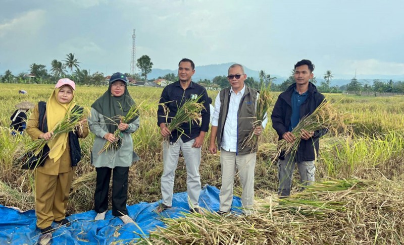 Bulog Bandung Jemput Gabah hingga Tengah Sawah, Perkuat Edukasi Mutu dan Salurkan Beras SPHP Segar