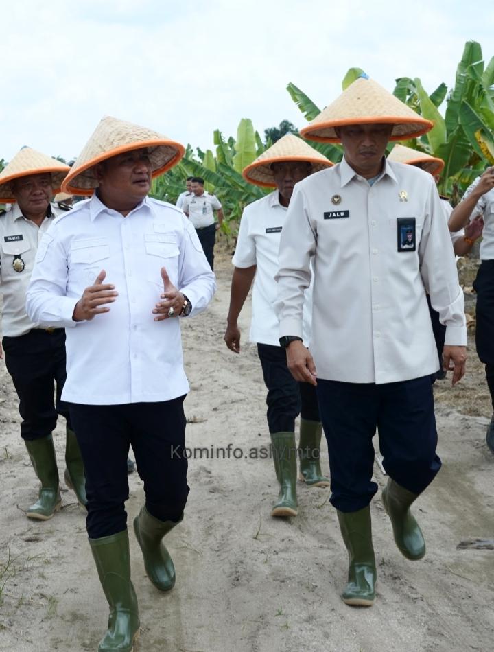 Tanam Jagung Untuk Ketahanan Pangan