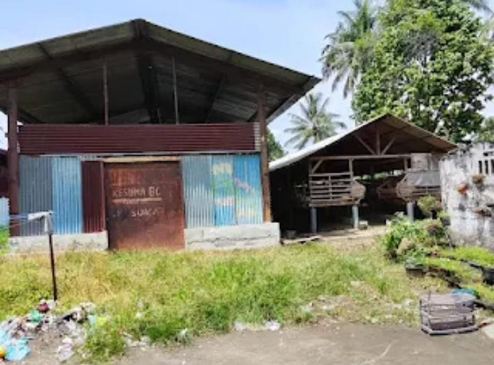 Gegara Gudang Pakan Ternak Bumdes, Wabah Ulat Belatung 'Serang' Rumah Warga Desa Jadi Kesuma