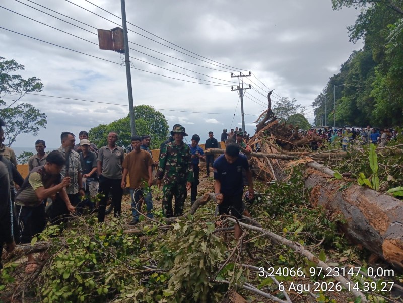 Angin Kencang Terjang Aceh Selatan, Pohon Tumbang dan Longsor Ganggu Arus Lalu Lintas di Jalur Nasional