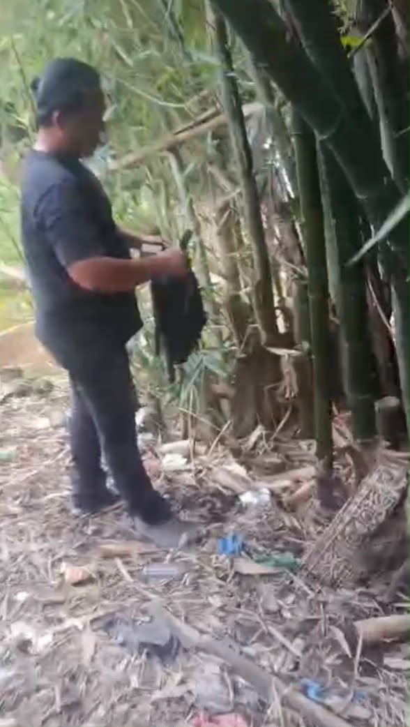 Modus Baru Jadikan Pohon Bambu Gudang Ganja Diungkap Polisi