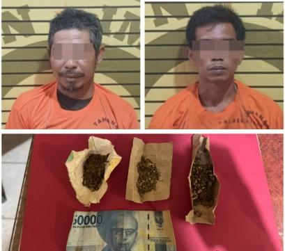 Dua Pebisnis Ganja Dibekuk Polsek Bilah Hilir