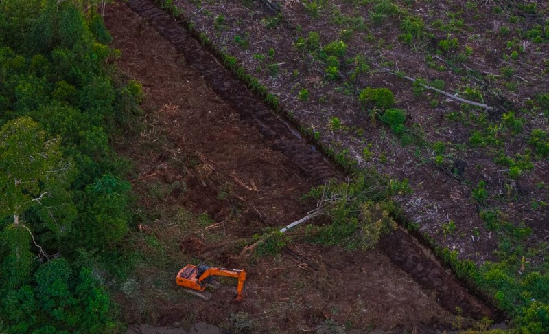 Ekskavator Ditemukan di SM Rawa Singkil, P2LH Aceh Soroti Pengawasan Kawasan