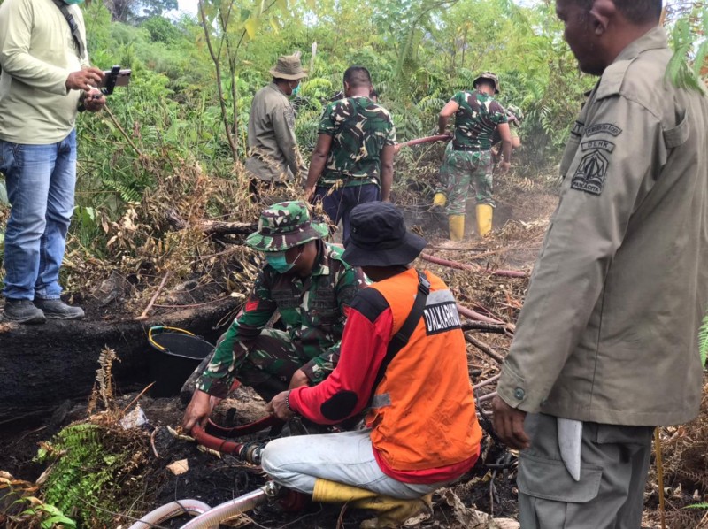Kebakaran Lahan di Aceh Selatan Hanguskan Sekitar 7 Hektare