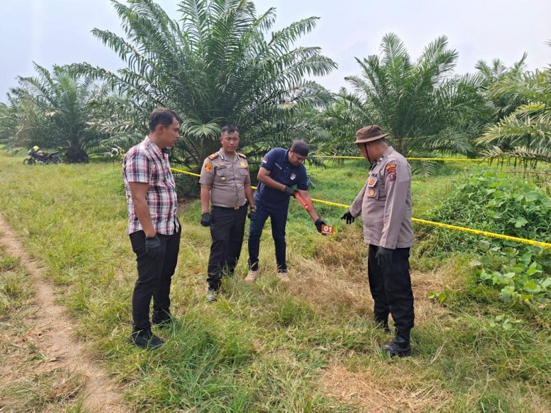 Misteri Kematian IRT di Area Perkebunan, Korban Diduga Bunuh Diri
