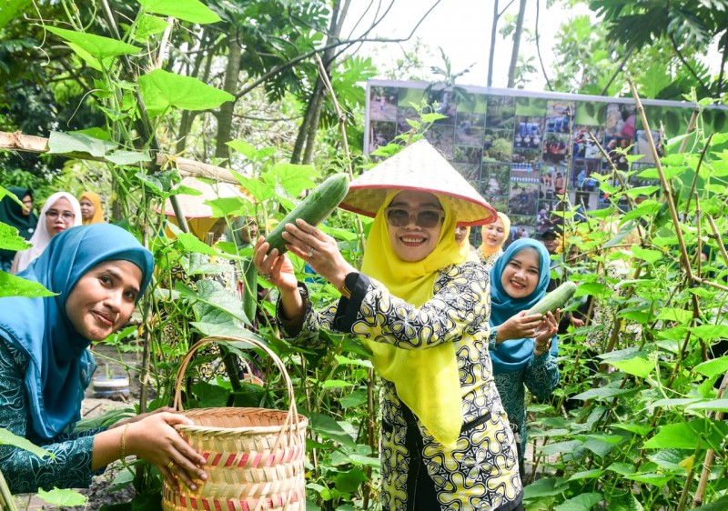 Asniar Dorong PKK Manfaatkan Pekarangan untuk Ketahanan Pangan