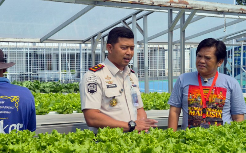 Di Balik Tembok Lapas Indramayu, Warga Binaan Menanam Sayur, Menanam Harapan
