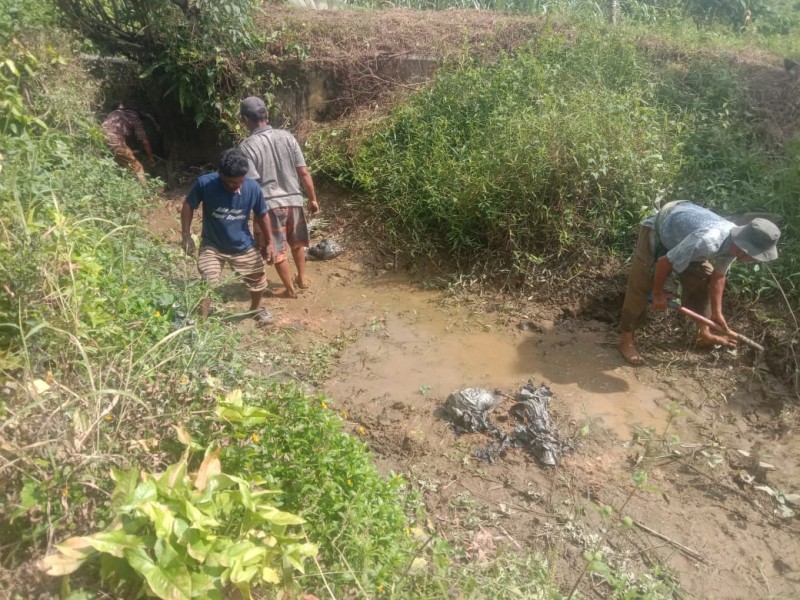 Petani Kluet Utara Keluhkan Belum Terima Program BASAGA, Akses Air Sawah Juga Jadi Persoalan