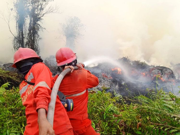 Kemenkes Siapkan 500 Ribu Masker per Provinsi dan Perluas Rumah Oksigen Hadapi Karhutla