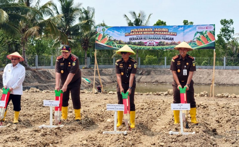 Kunker ke Kejari Pasangkayu, Kajati Sulbar Budi Hartawan Panjaitan Dukung Program Ketahanan Pangan Nasional dan Masyarakat Adat Inde